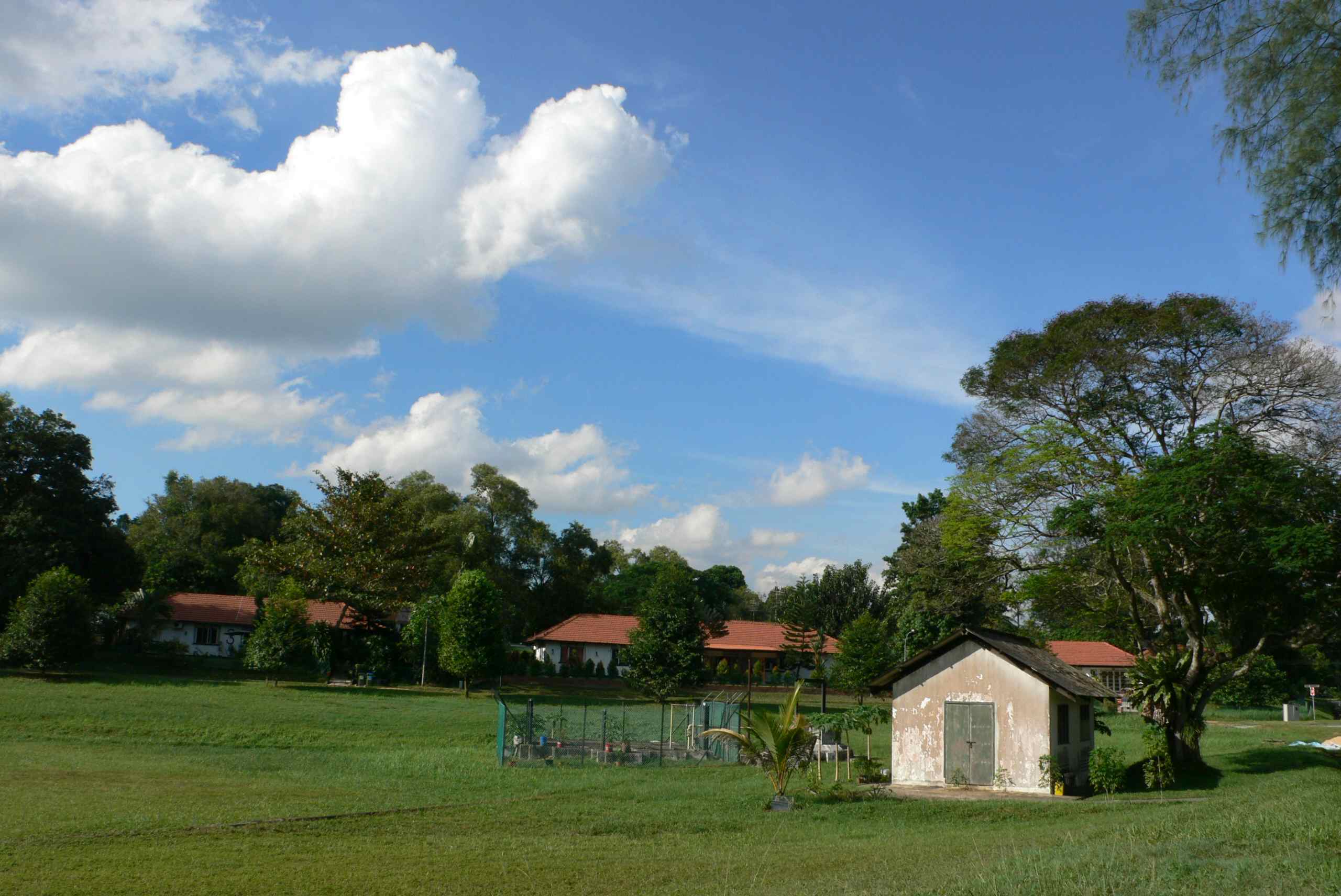 seletar airbase2 Seletar Airbase     Singapores Secret Garden
