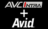 avidintra.jpg